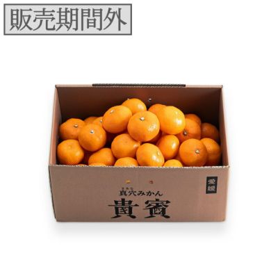 高級ブランドみかん！！愛媛県産【真穴みかん】Sサイズ　10kg！ 楽天市場】お歳暮 ギフト 送料無料 真穴みかん S・10kg 愛媛県産