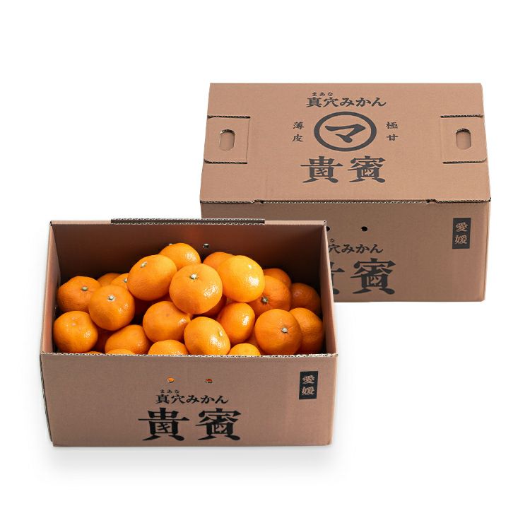 真穴みかん10㎏｜おいしい愛媛のみかん 産地直送＜通販＞｜旬香