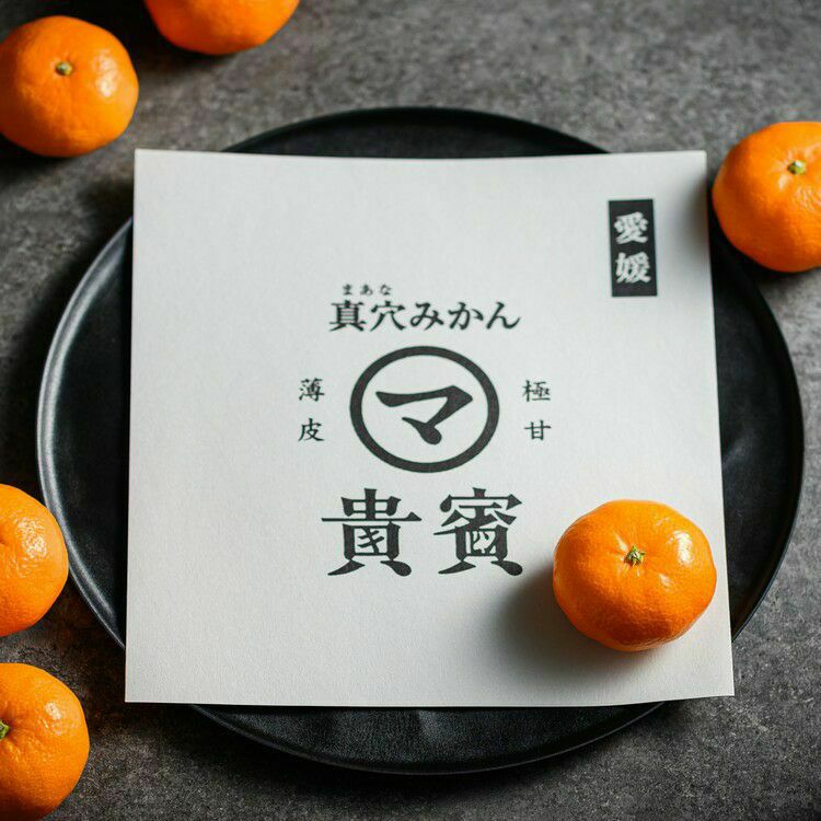 愛媛産】高級真穴みかん 貴賓(きひん)ーブランド｜真網代青果｜小粒（2箱）